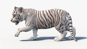 Animated White Tiger Cub 3D Model Thumbnail