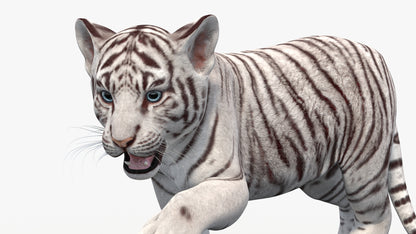 Rigged White Baby Tiger 3D Model