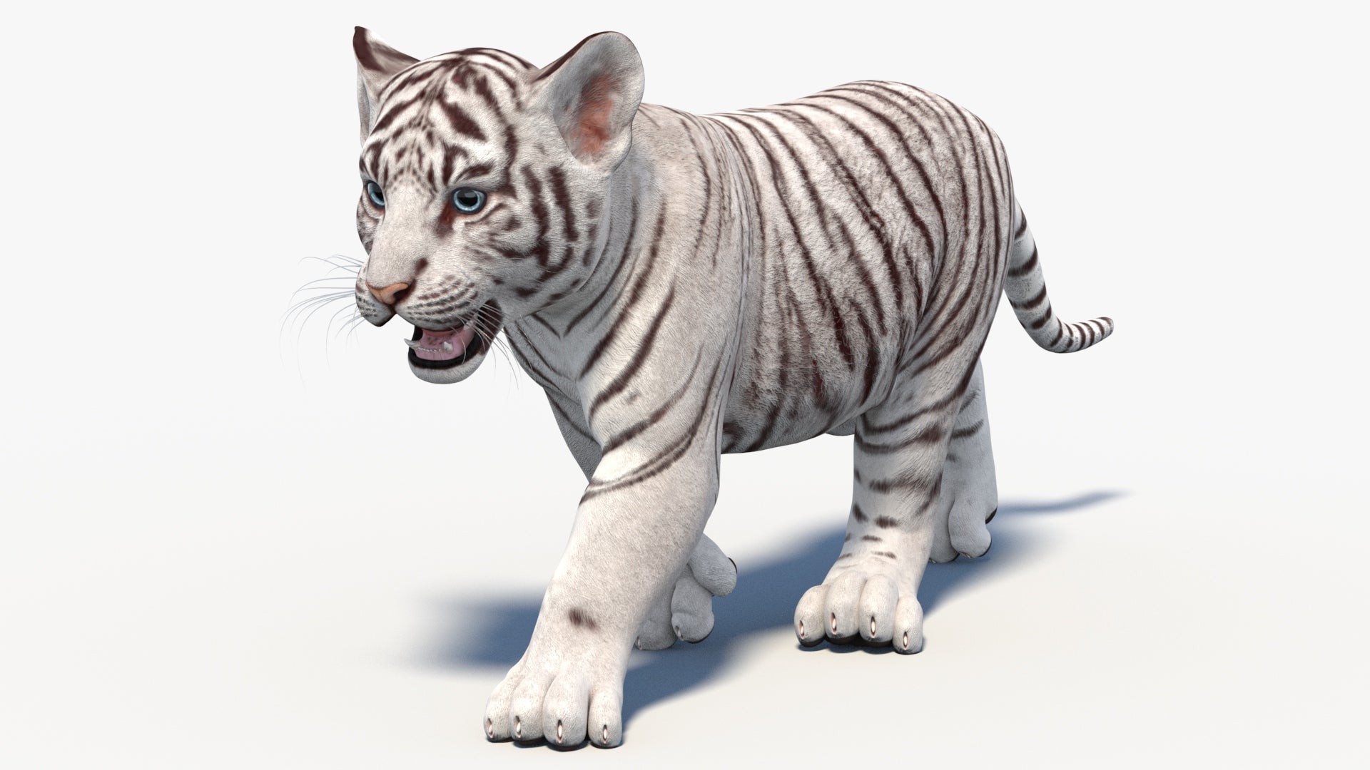 Animated White Tiger Cub 3D Model