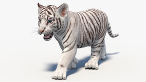 Animated White Tiger Cub 3D Model Thumbnail