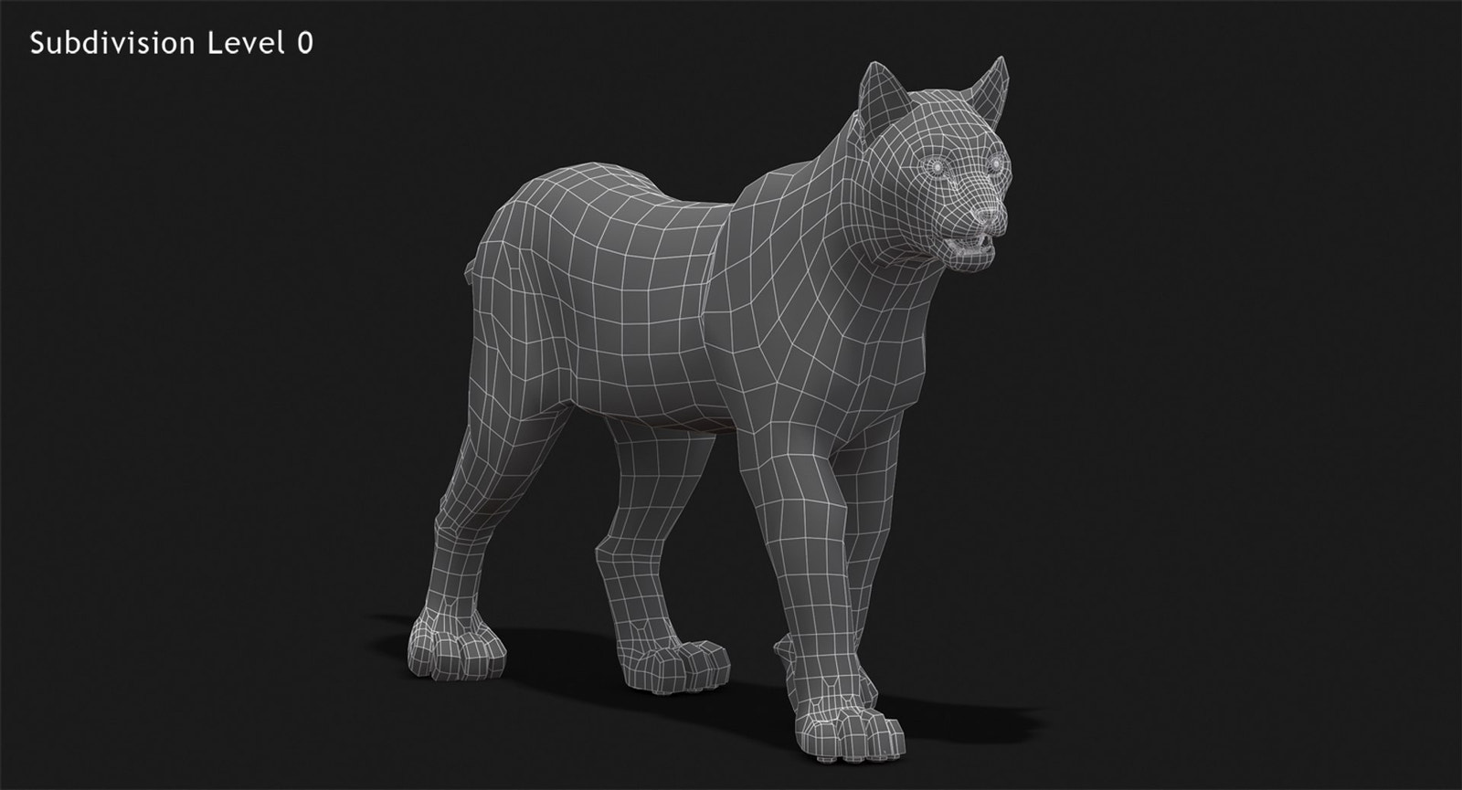 Animated Lynx 3D Model Wireframe View Subdivision Level 0