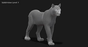 Animated Lynx 3D Model Wireframe View Subdivision Level 1 Thumbnail