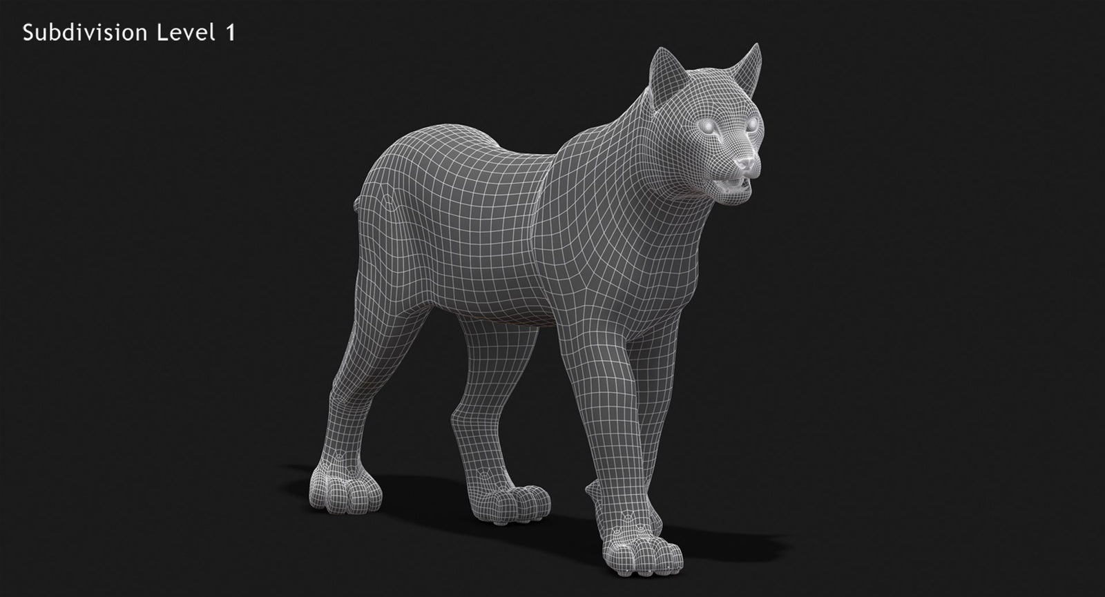 Animated Lynx 3D Model Wireframe View Subdivision Level 1