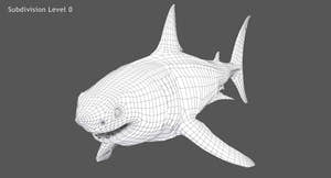 Animated Great White Shark 3D Model Wireframe View Thumbnail