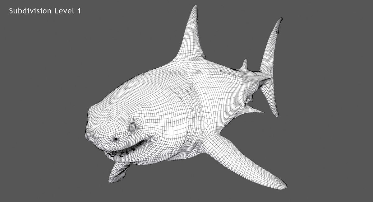 Animated Great White Shark 3D Model Wireframe View