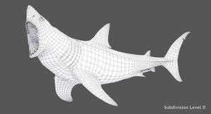 Animated Great White Shark 3D Model Wireframe View