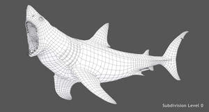 Animated Great White Shark 3D Model Wireframe View Thumbnail