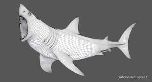 Animated Great White Shark 3D Model Wireframe View Thumbnail
