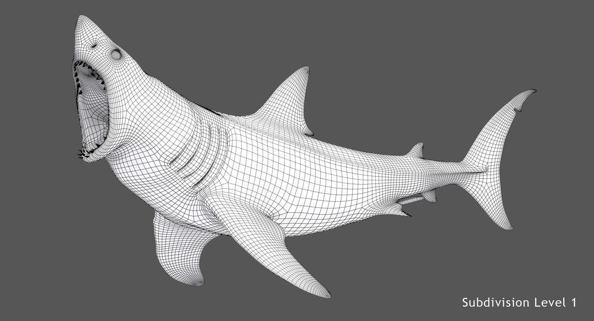 Animated Great White Shark 3D Model Wireframe View