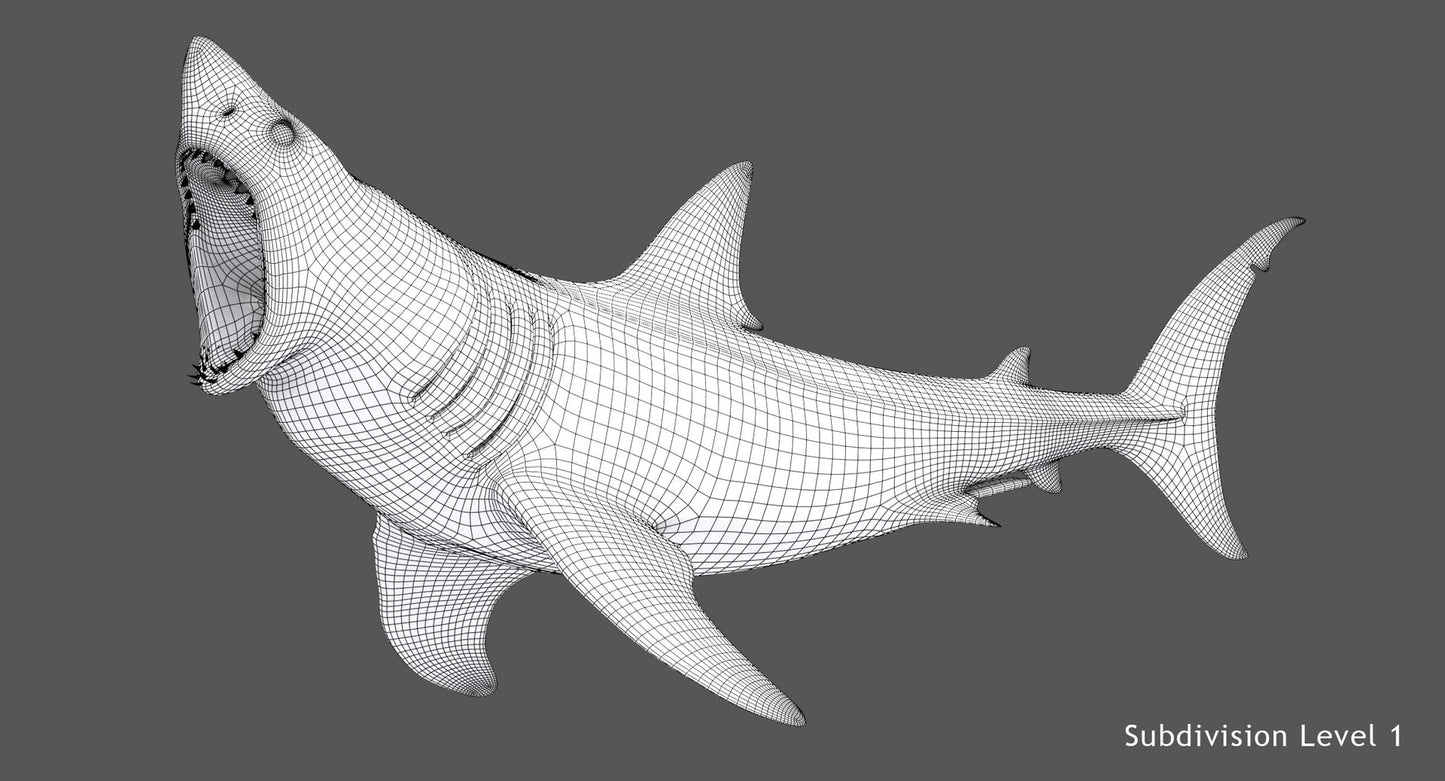 Animated Great White Shark 3D Model