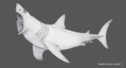 Animated Great White Shark 3D Model