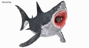 Animated Great White Shark 3D Model Thumbnail