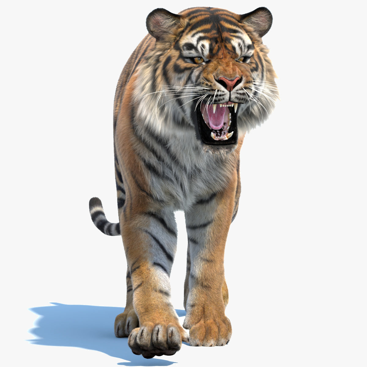 Big Cat 3D Model Rigged Animated Fur Bundle