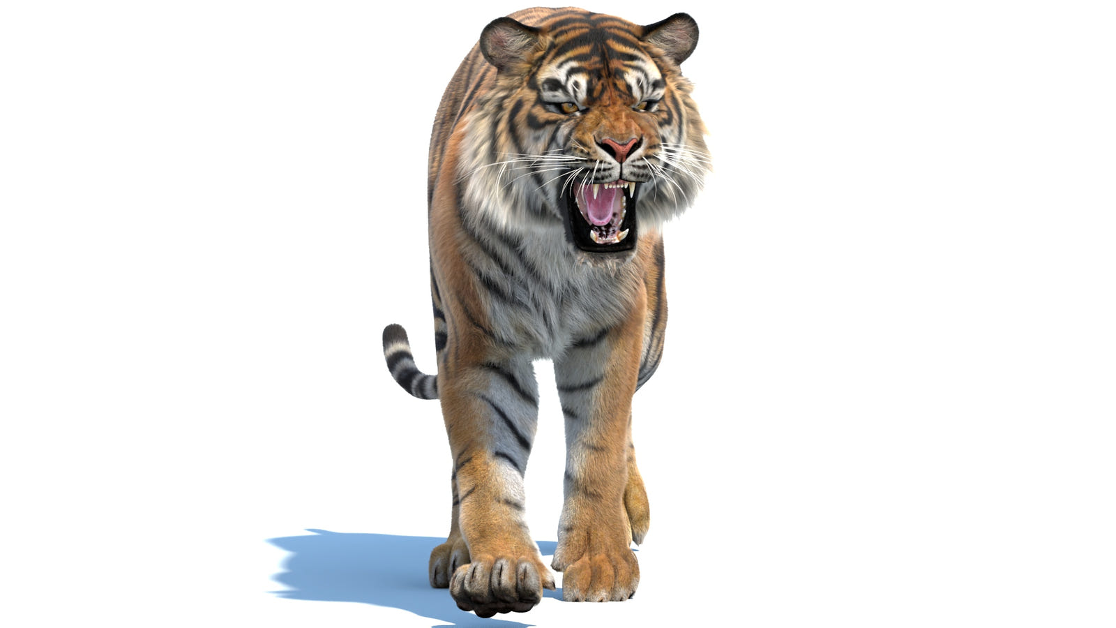 Natural-Looking Tiger 3D Model with Fur
