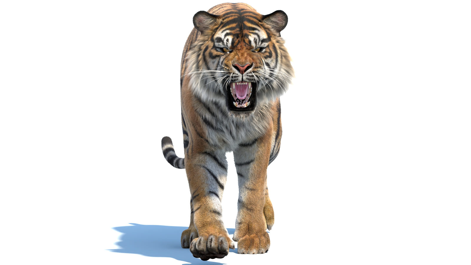 Photorealistic Tiger 3D Model with Fur