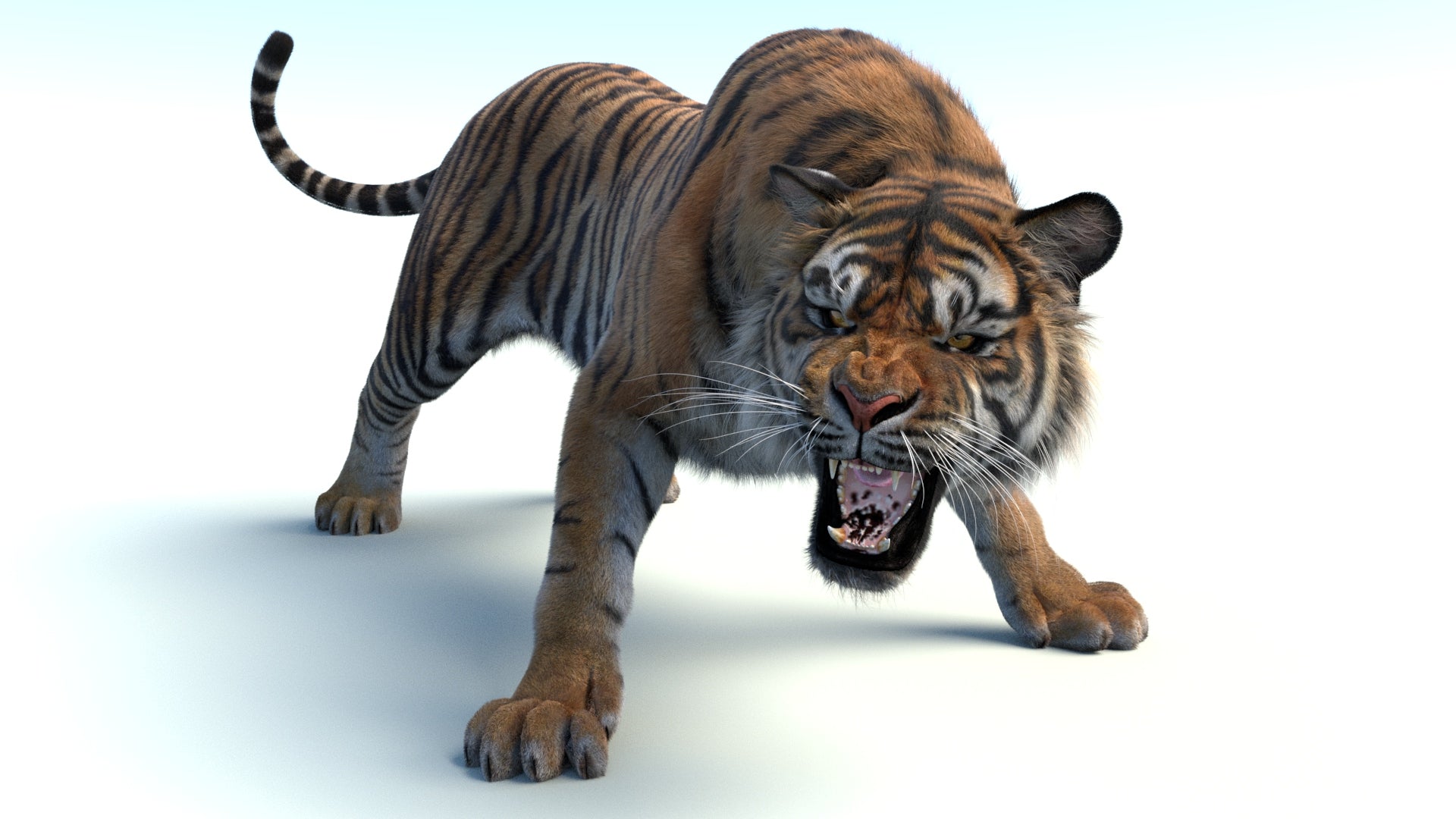 Big Cat 3D Model Rigged Animated Fur Bundle