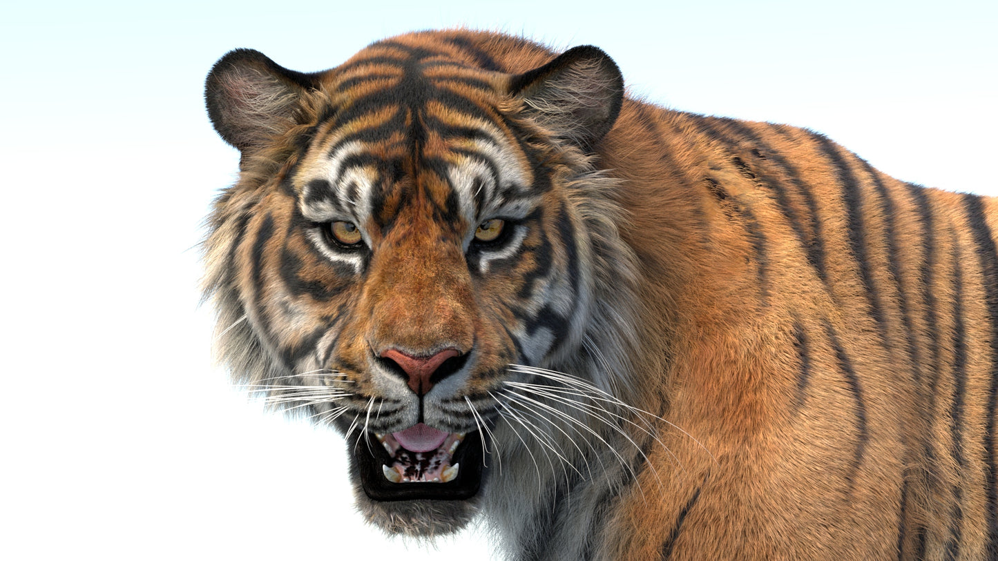 Big Cat 3D Model Rigged Animated Fur Bundle