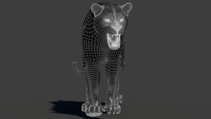 3D wireframe view of a tiger model with clean topology, subdivision 1 Thumbnail