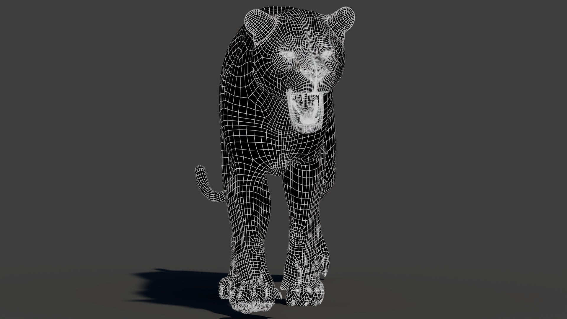 3D wireframe view of a tiger model with clean topology, subdivision 1