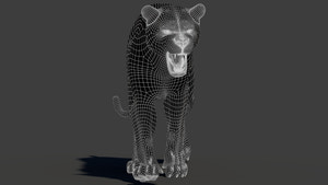3D wireframe view of a tiger model with clean topology, subdivision 1 with roar morph added Thumbnail