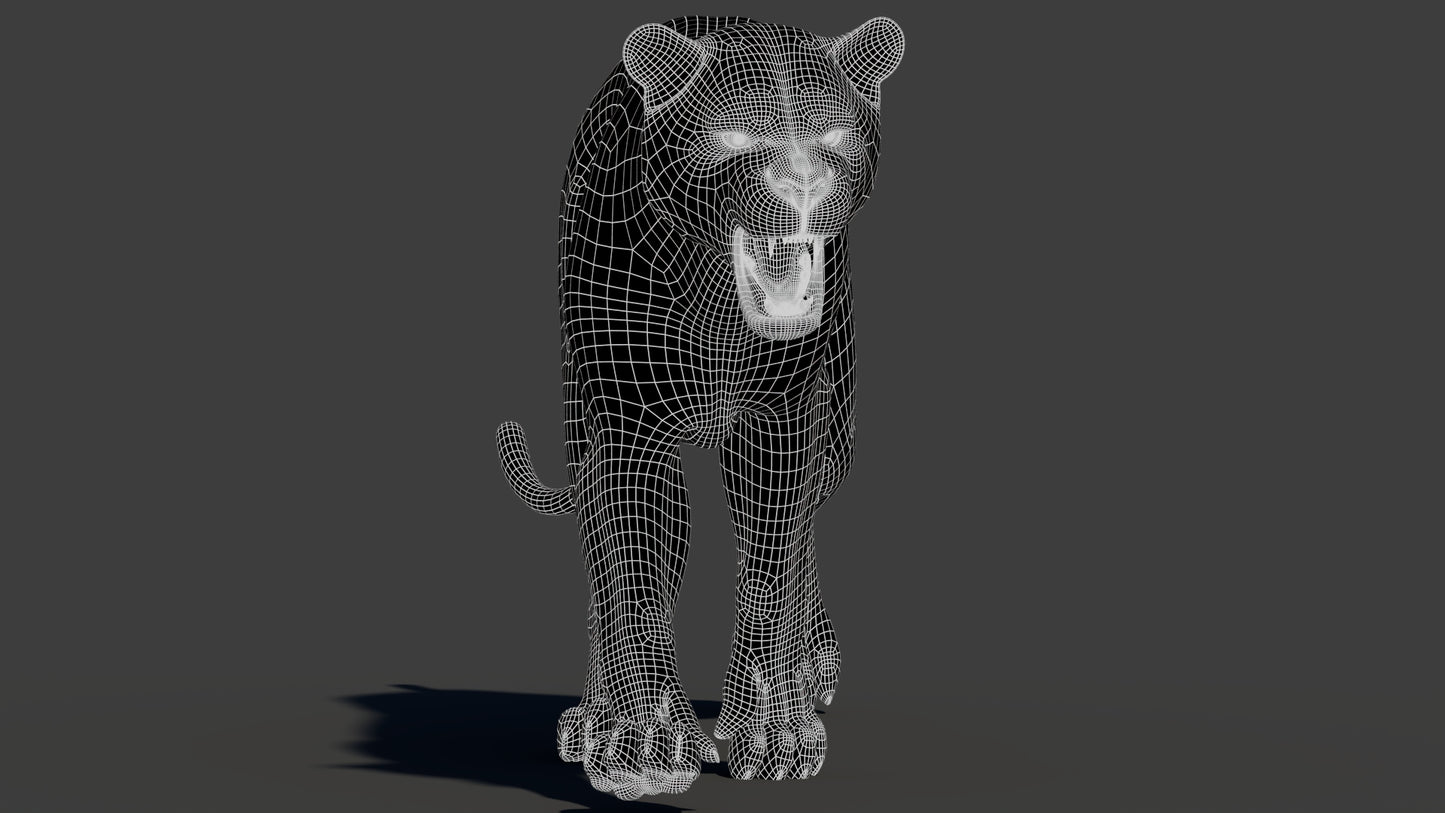 Big Cat 3D Model Rigged Animated Fur Bundle