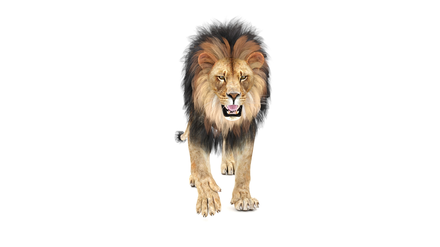 Animated Lion 3D Model (Game-Ready) - 360 Degree View