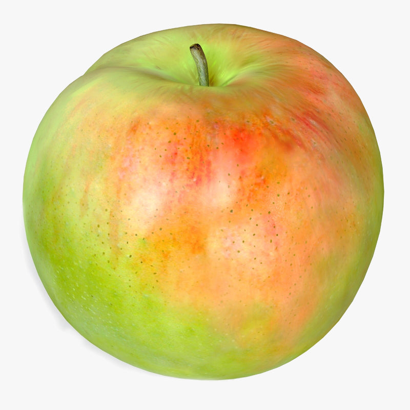 Apple Fruit 3D Model