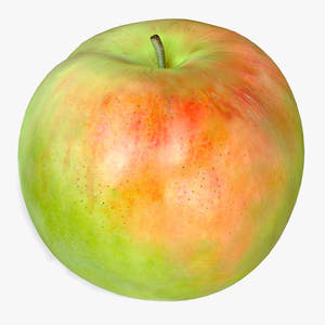 Apple Fruit 3D Model Thumbnail