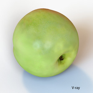 Apple Fruit 3D Model Thumbnail