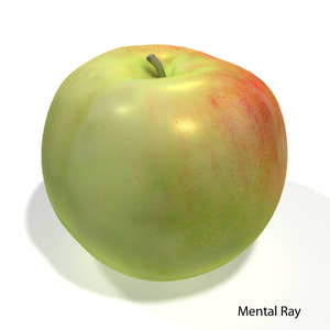 Apple Fruit 3D Model Thumbnail