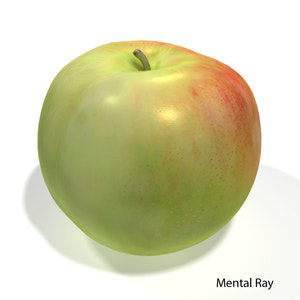 Apple Fruit 3D Model Thumbnail