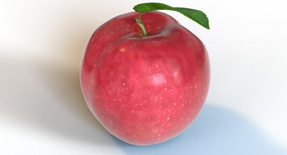 Red Apple Fruit 3D Model
