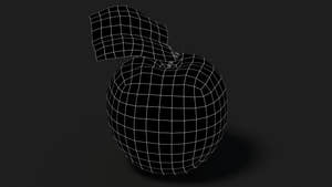 Apple Fruit 3D Model Wireframe View - Subdivision Level 0 Thumbnail
