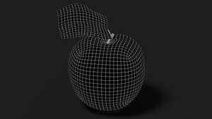 Apple Fruit 3D Model Wireframe View - Subdivision Level 1 Thumbnail