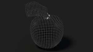 Apple Fruit 3D Model Wireframe View - Subdivision Level 1 Thumbnail