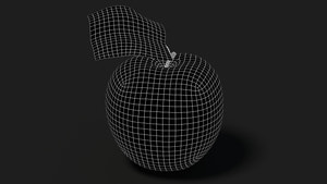 Apple Fruit 3D Model Wireframe View - Subdivision Level 1 Thumbnail