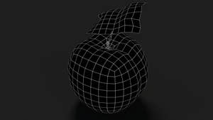 Apple Fruit 3D Model Wireframe View - Subdivision Level 0 Thumbnail