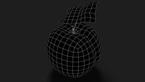 Apple Fruit 3D Model Wireframe View - Subdivision Level 0 Thumbnail