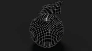 Apple Fruit 3D Model Wireframe View - Subdivision Level 1 Thumbnail