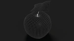 Apple Fruit 3D Model Wireframe View - Subdivision Level 1 Thumbnail