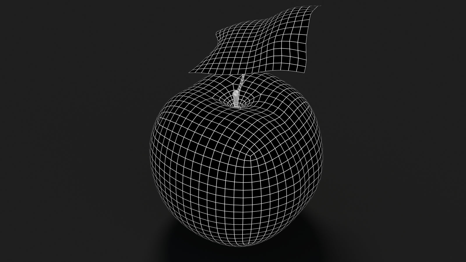 Apple Fruit 3D Model Wireframe View - Subdivision Level 1
