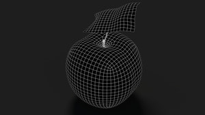 Apple Fruit 3D Model Wireframe View - Subdivision Level 1 Thumbnail