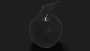 Apple Fruit 3D Model Wireframe View - Subdivision Level 1 Thumbnail
