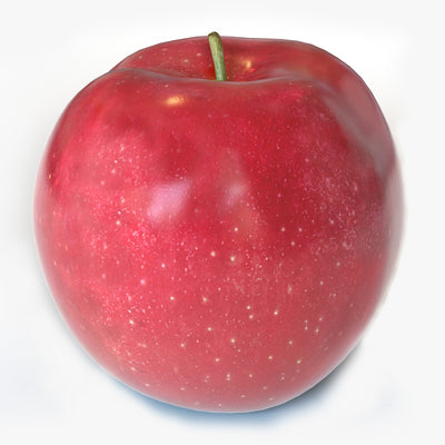 Apple Red 3D Model