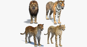 Big Cats 05 3D Model Thumbnail