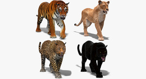 Animated Big Cats 3D Model Thumbnail