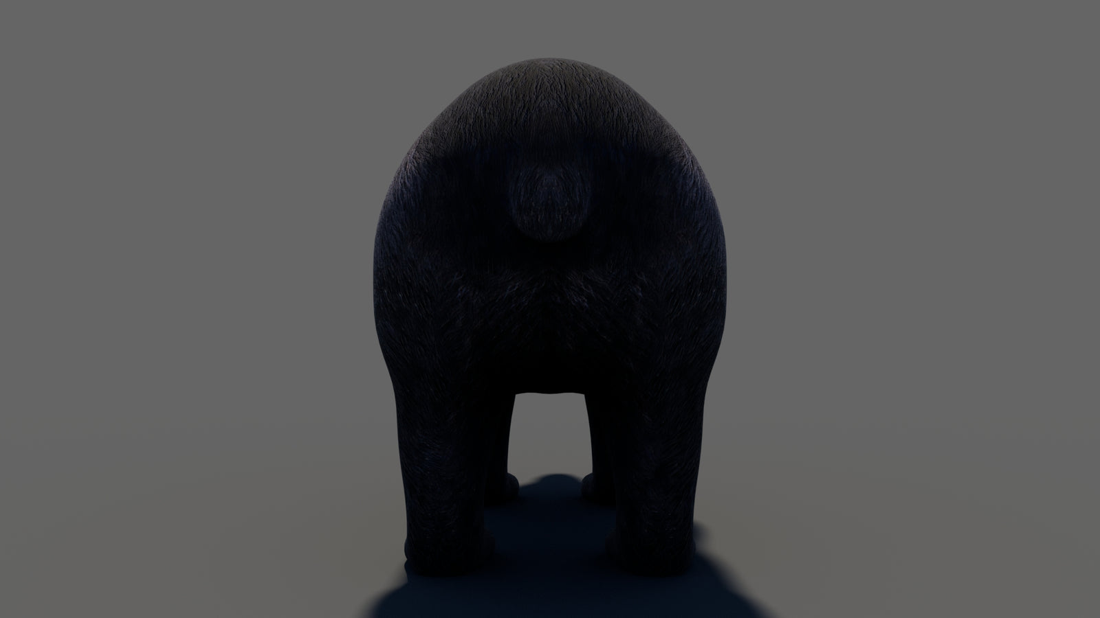 Animated Black Bear 3D Model 360° view 1 frame 27