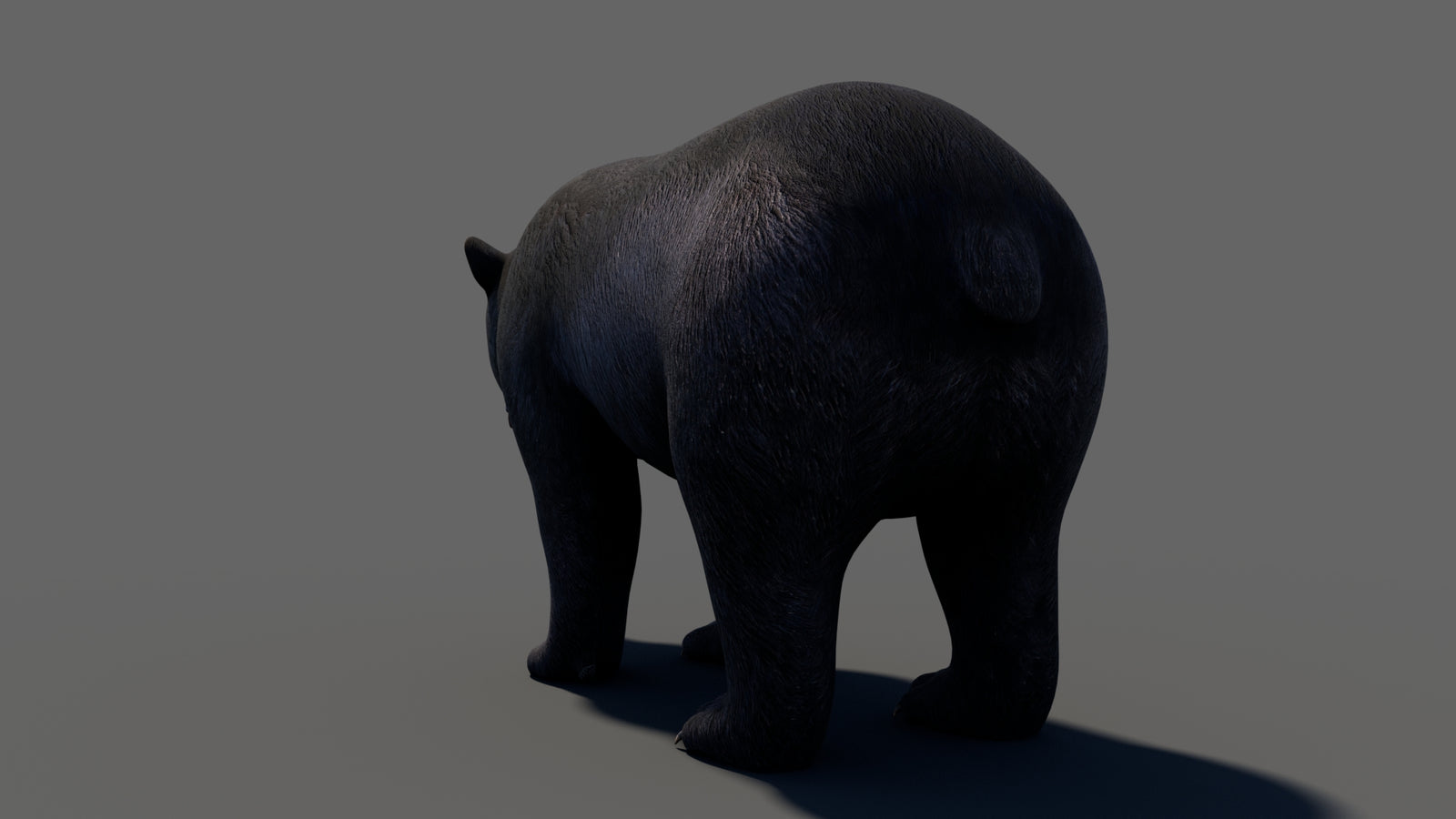 Animated Black Bear 3D Model 360° view 1 frame 30