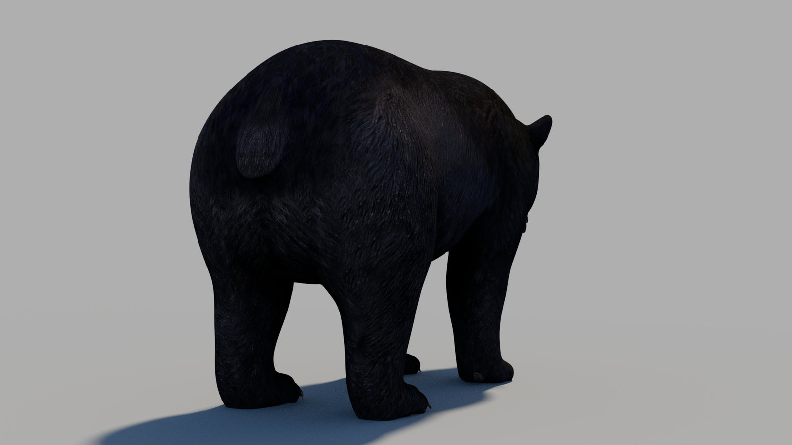 Black Bear 3D Model 360° view 1 frame 12