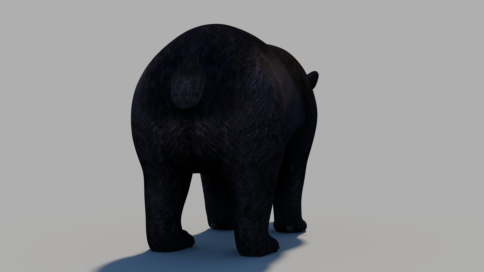 Black Bear 3D Model 360° view 1 frame 13